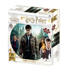 Пазли 3D 32559 Harry Potter, Герміона і Рон, 61-46см., 500дет., кор., 21,5-26-5см.