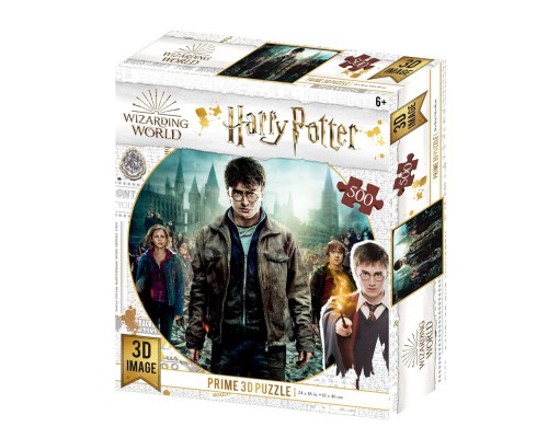 Пазли 3D 32559 Harry Potter, Герміона і Рон, 61-46см., 500дет., кор., 21,5-26-5см.