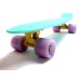 Penny Board Бирюзовый цвет Светящиеся колеса