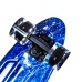 Penny Board "Fish" Spice