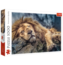 04479 Trefl Пазли "1000" Сплячий лев