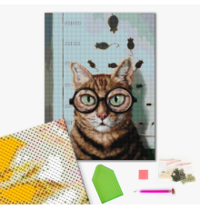Алмазна мозаїка: Перевірка зору котика ©Lucia Heffernan 40х50