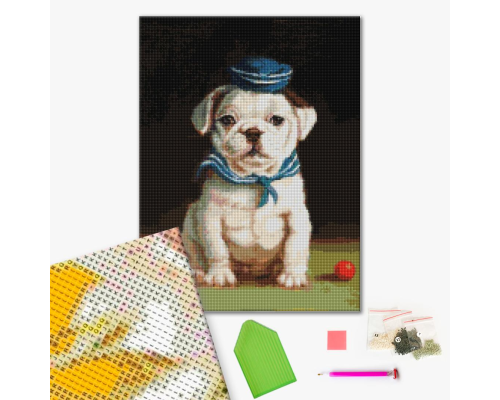 Алмазна мозаїка: Бульдог ©Lucia Heffernan 40х50