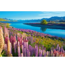 Кастор пазли "Озеро Текапо, Нова Зеландія" 47*33см B-53896