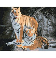 Картина за номерами: Дикі тигри 40*50 BS52793